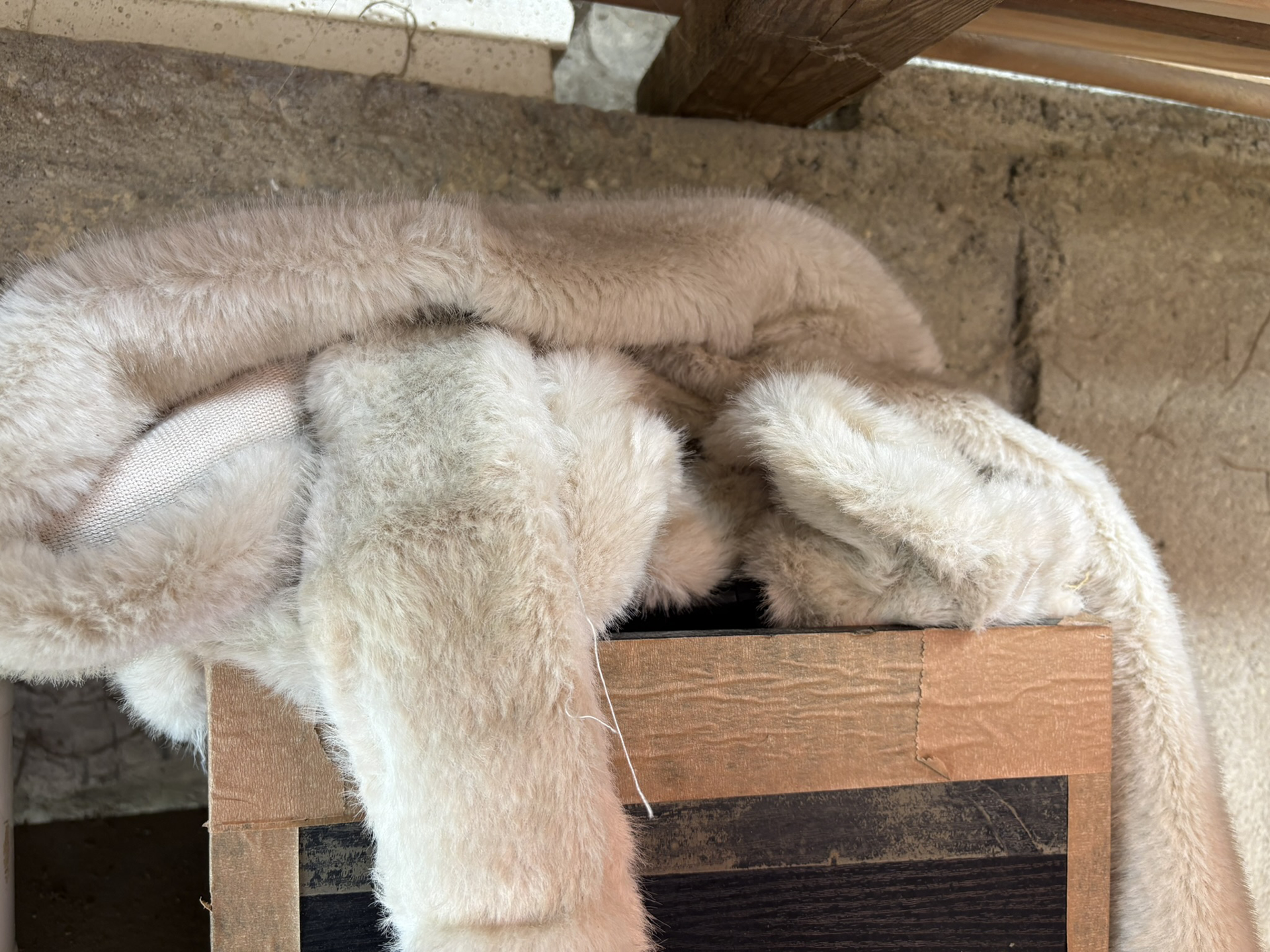 Vue de l'atelier du Gymnase du Chat à Écluzelles — fabrication artisanale d'arbres à chat