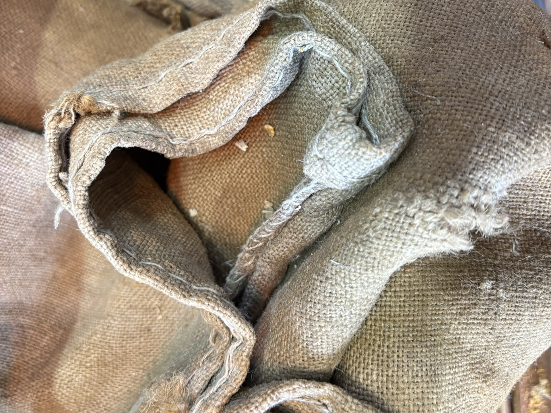 L'atelier artisanal du Gymnase du Chat — établi et outils de fabrication