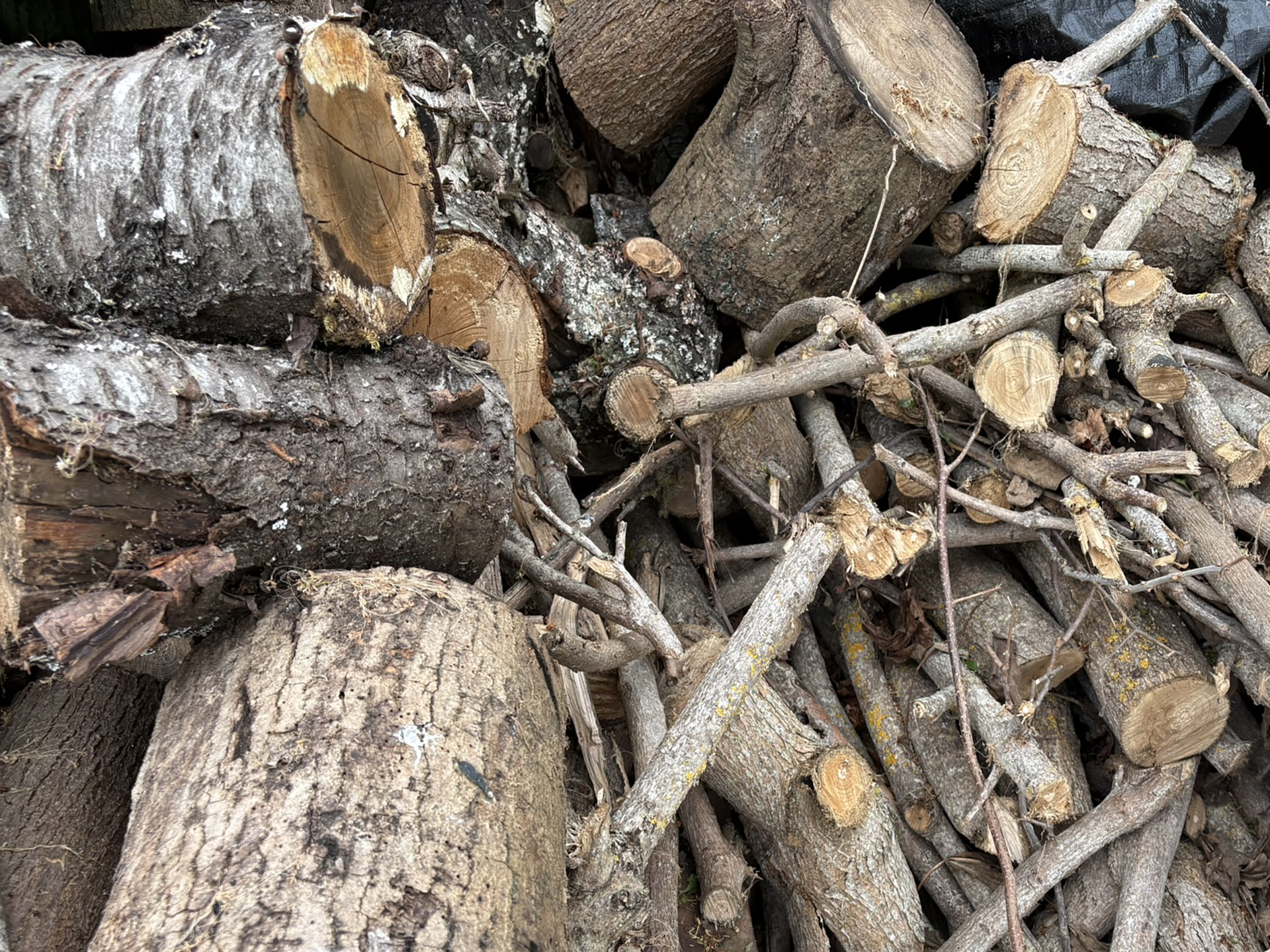 Atelier du Gymnase du Chat — détail de fabrication