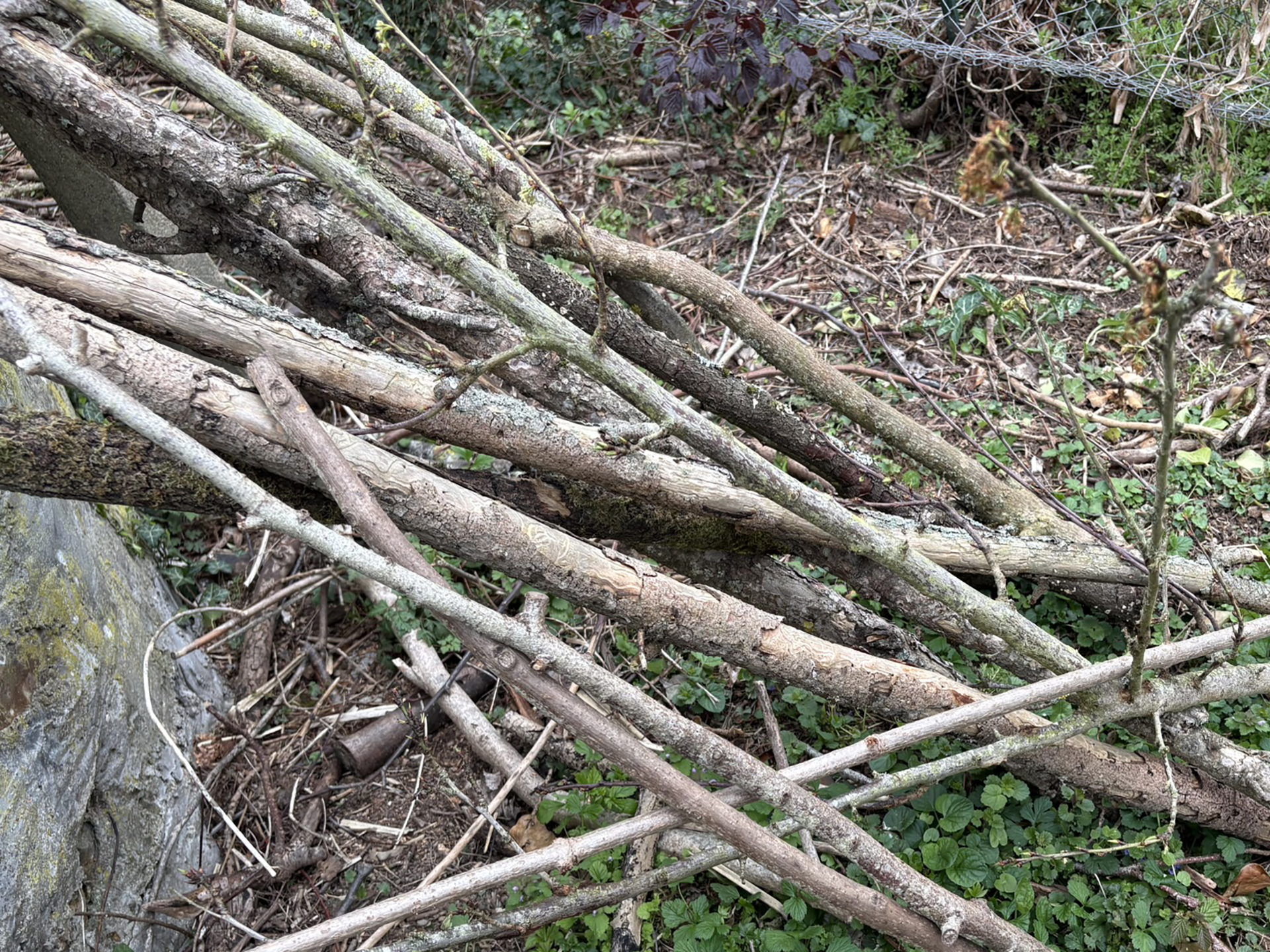 Fabrication artisanale d'un arbre à chat en bois massif