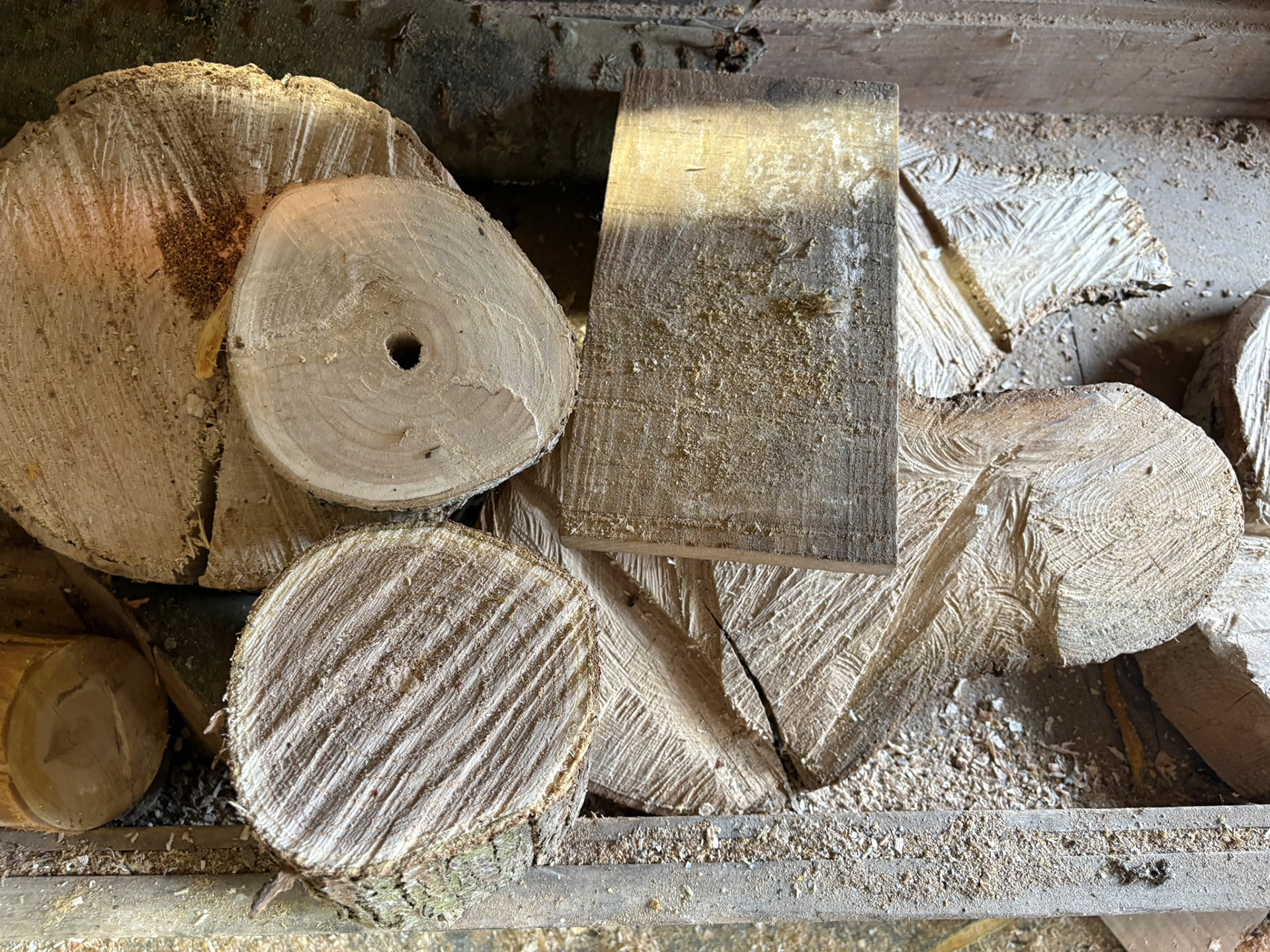 Vue d'ensemble de l'atelier du Gymnase du Chat