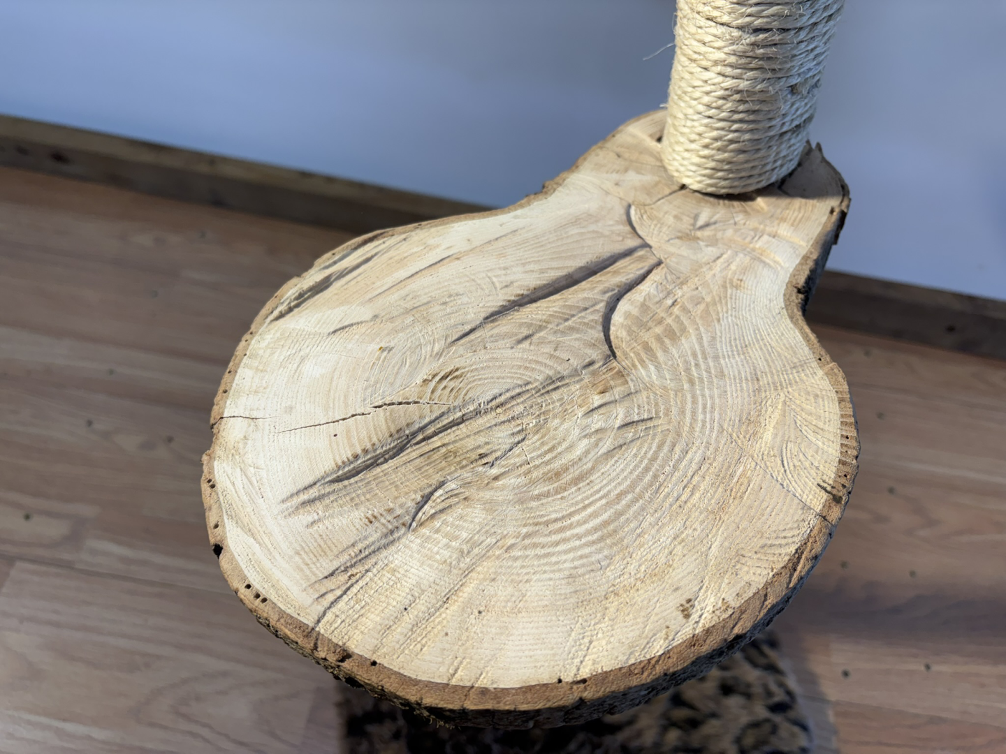 Le Totem Kolentachat — photo détail