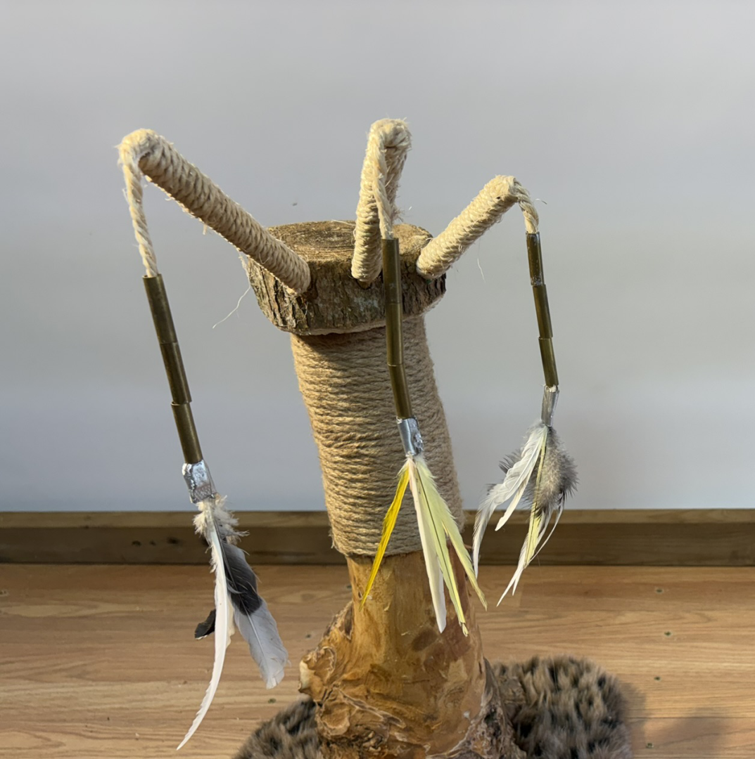 L’Arbrisseau des chatons — photo détail