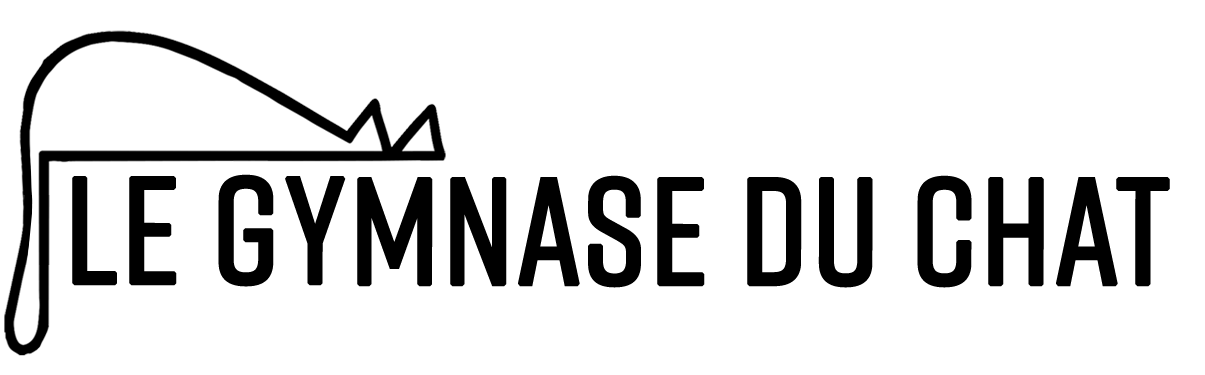 Le Gymnase du Chat