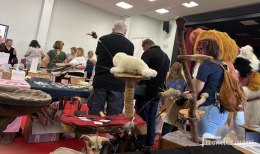 Le gymnase du chat au salon du bien-être animal — illustration 2