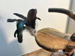 Potron‑minet — photo 2