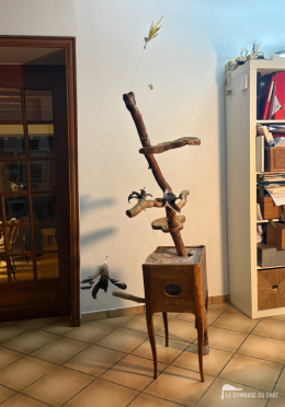 Potron‑minet — photo 6