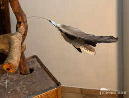 Potron‑minet — photo 1