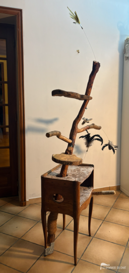 Potron‑minet — photo 7