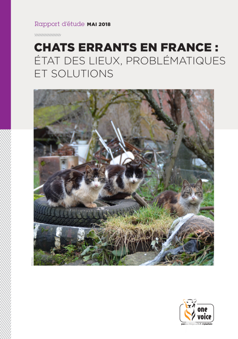 Des chiffres qui donnent le vertige — L'ambiguïté des chats « sauvages » : errants et comme par hasard toujours sans responsable
