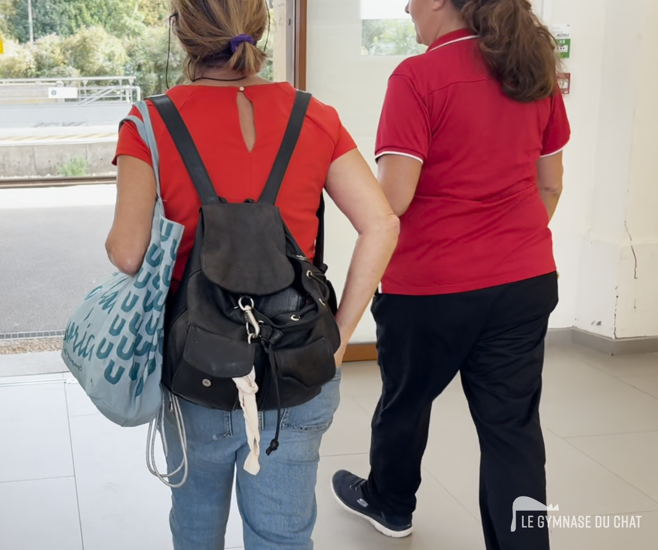 Trop de chats : on passe notre temps à jongler — LES CHATS DES QUARTIERS : les aventures de Micheline