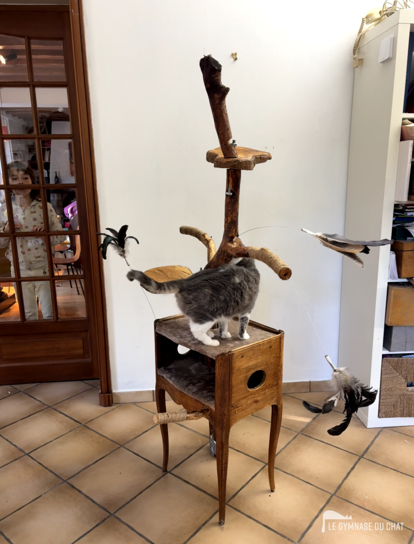 Potron‑minet — arbre à chat artisanal Le Gymnase du Chat