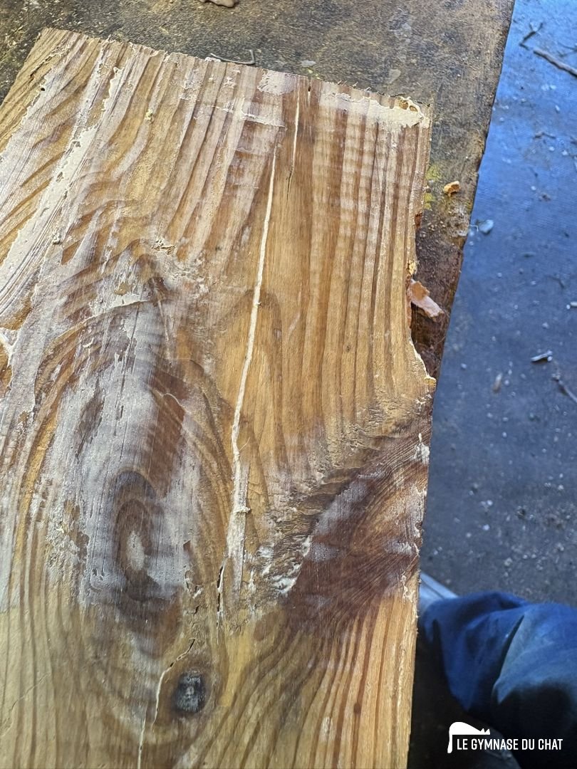 Fabriquer sa pâte à bois maison