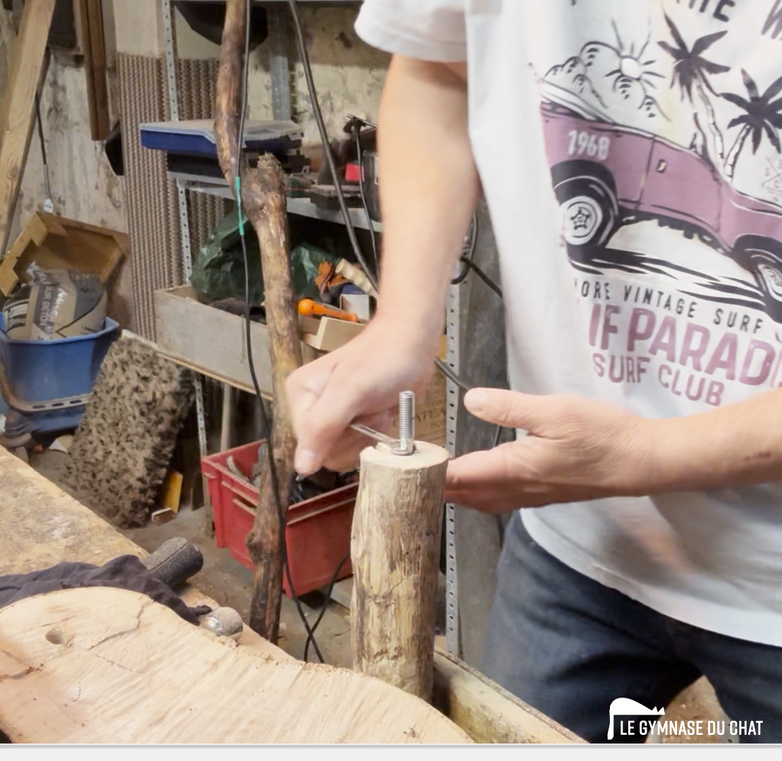 Préparation d'une branche de 3 ans