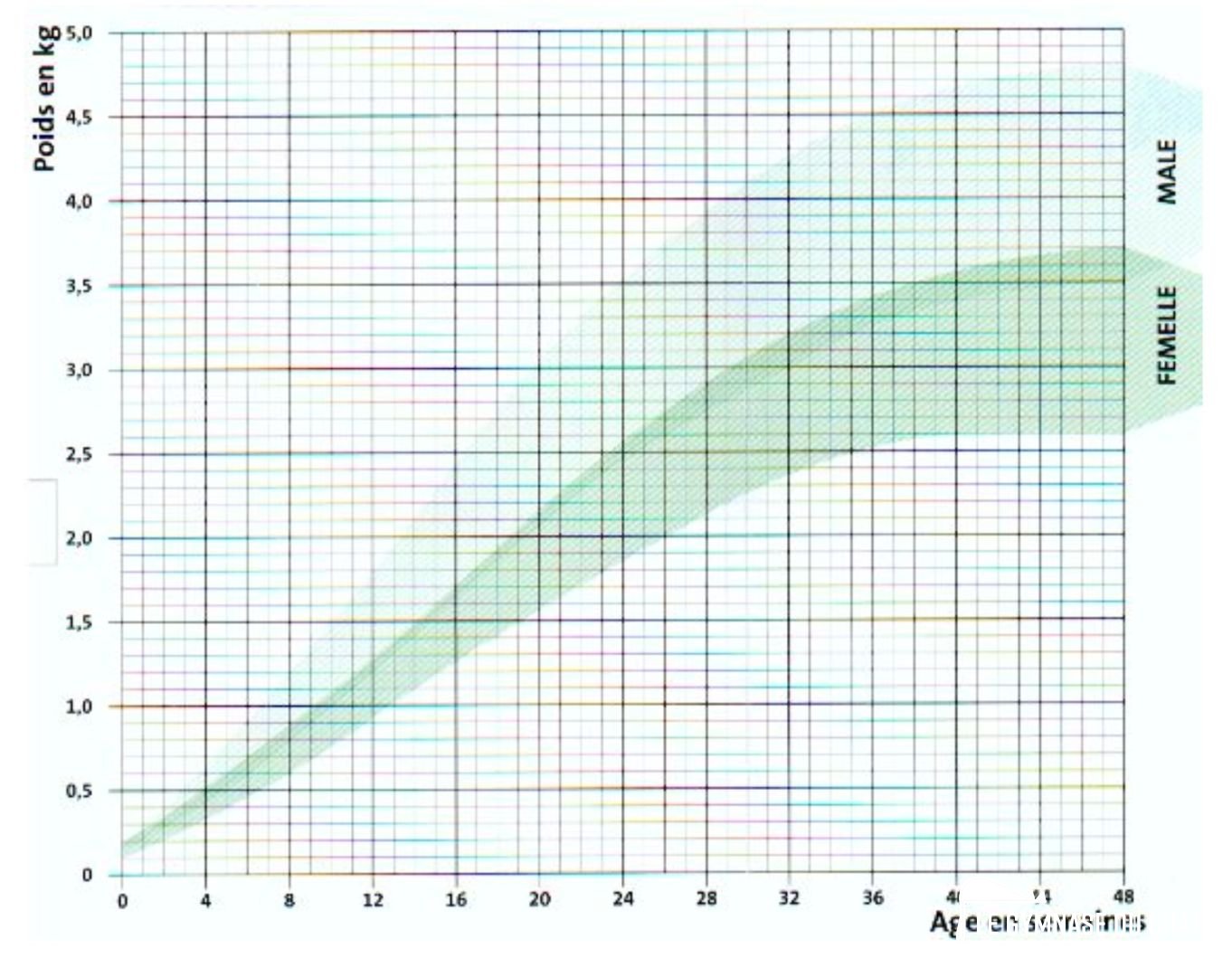 Noé le chat : jour 3