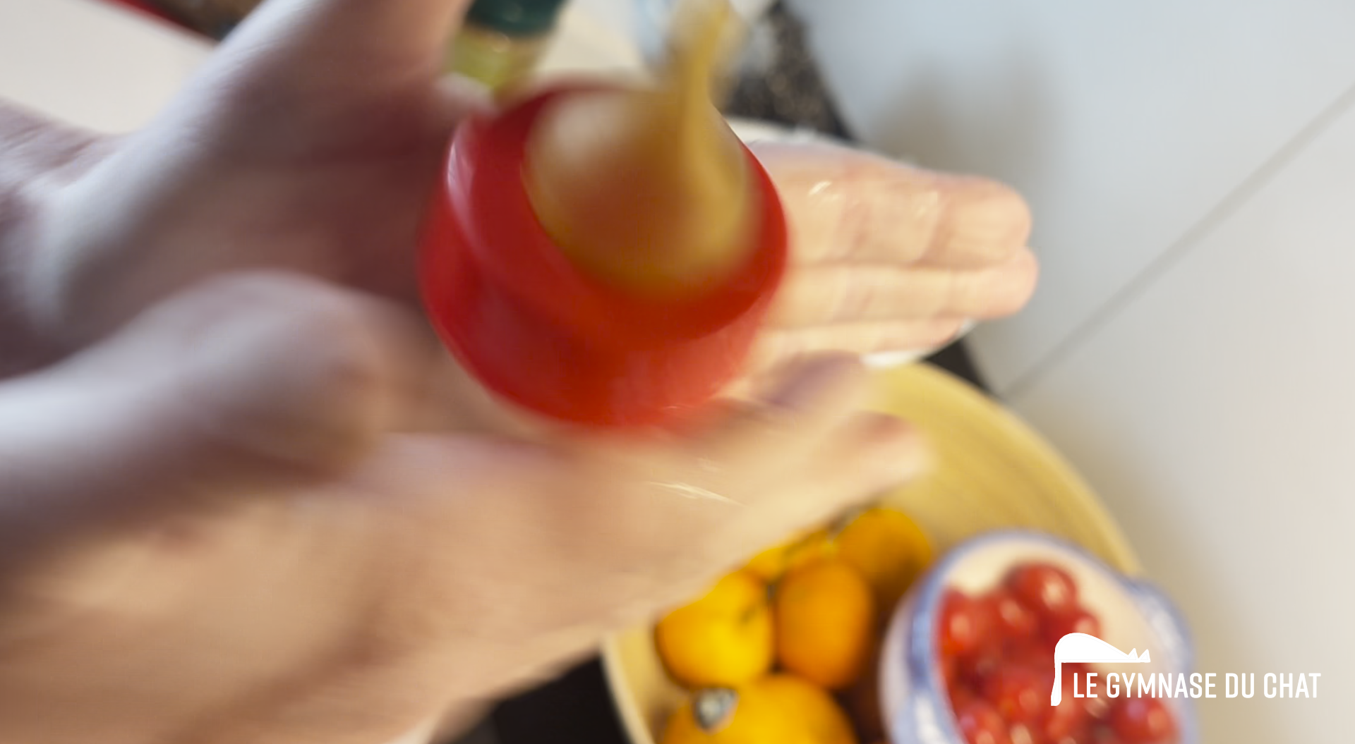 Noé le chat, jour 4