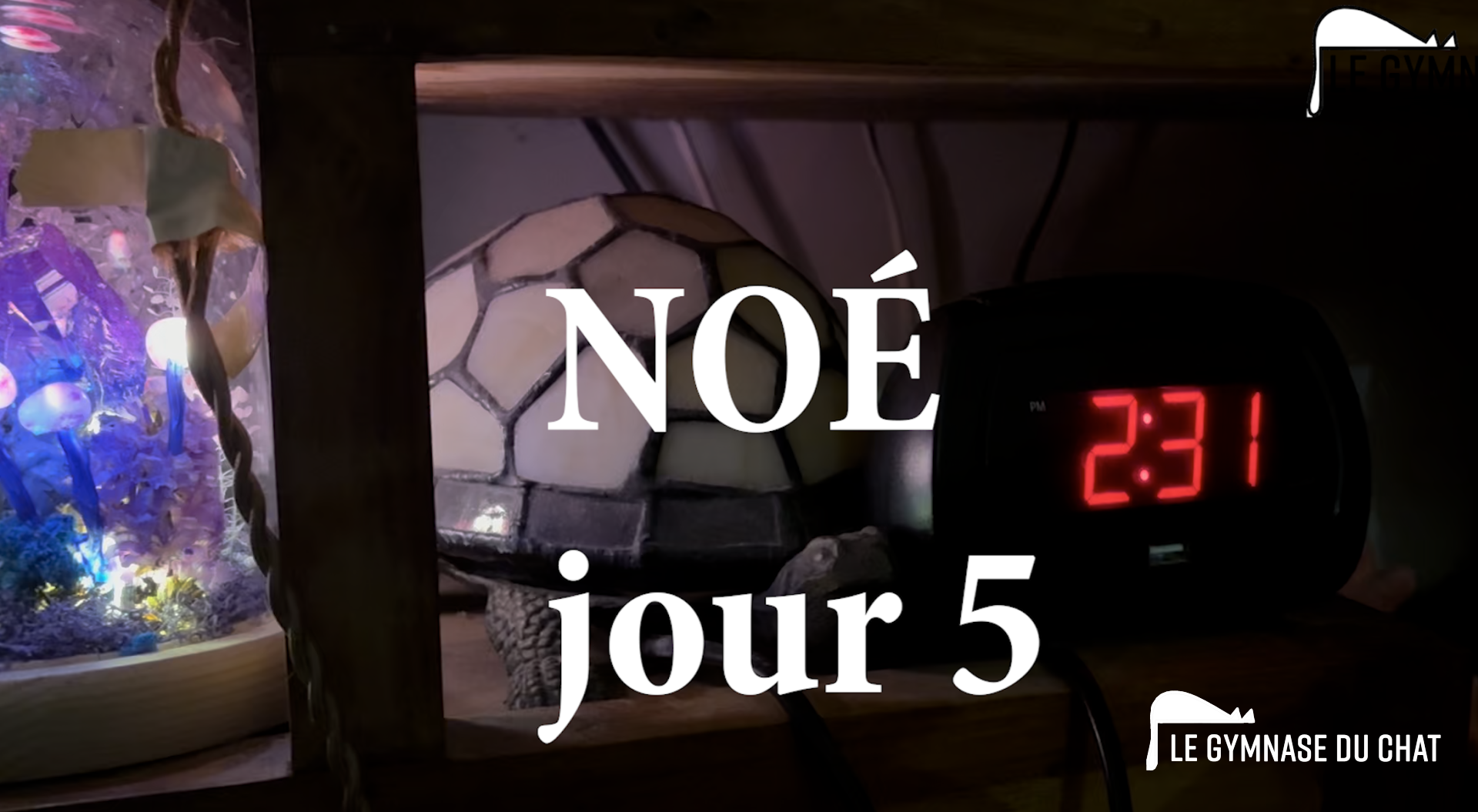 C'est Sophie qui se lève toutes les 3 heures la nuit !
