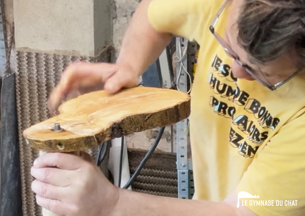 La première expérience du chat est décisive. Si le plateau bouge, il ne reviendra pas.