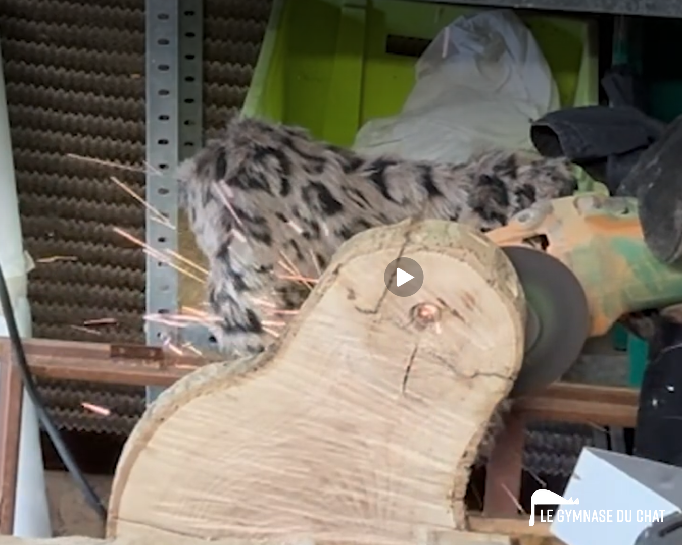 Le montage de la plateforme