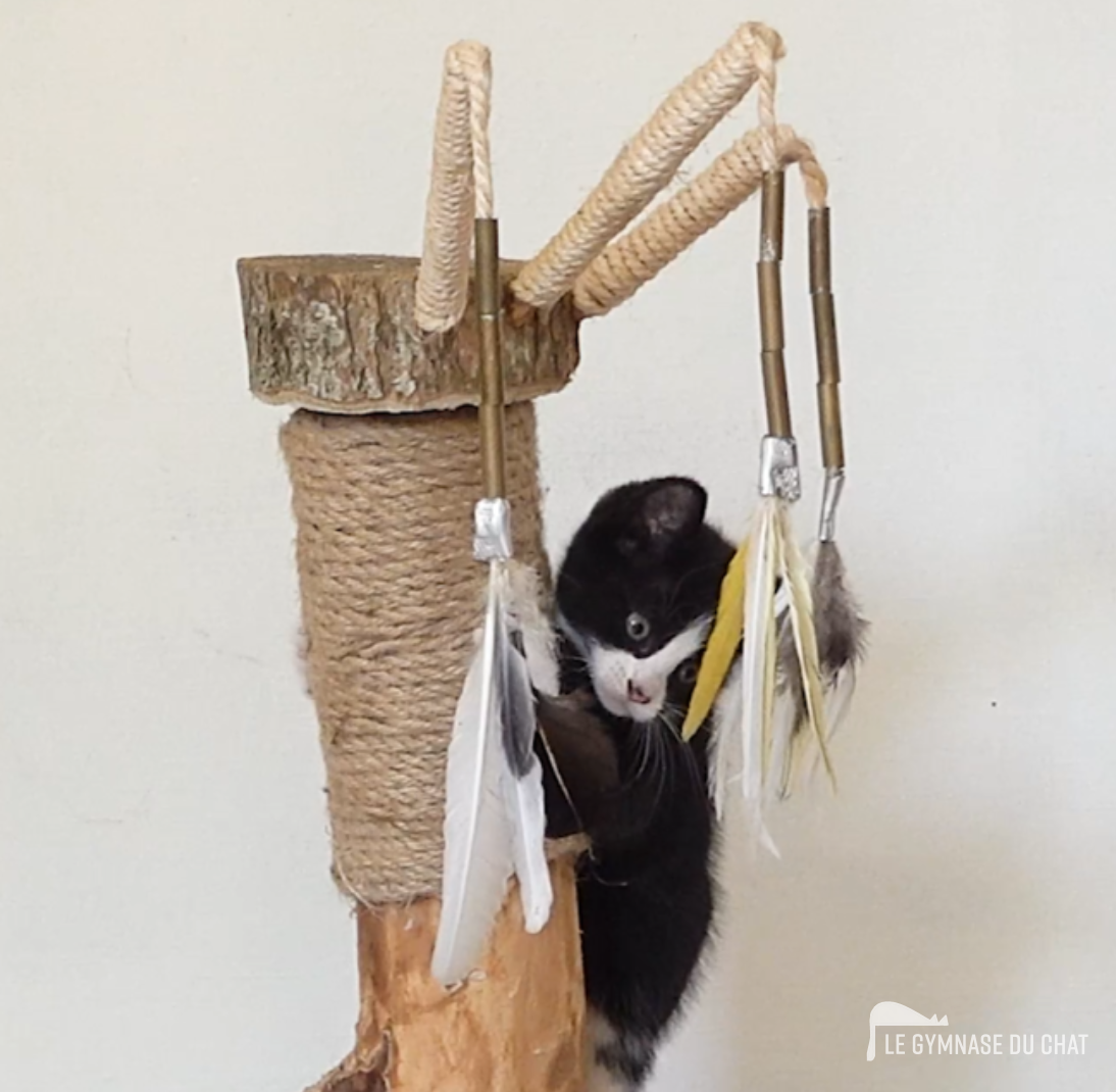 Ne convient pas à des grands chats : la zone pour se faire les griffes est de 40 cm (le chat ne dois pas dépasser cette longueur)
