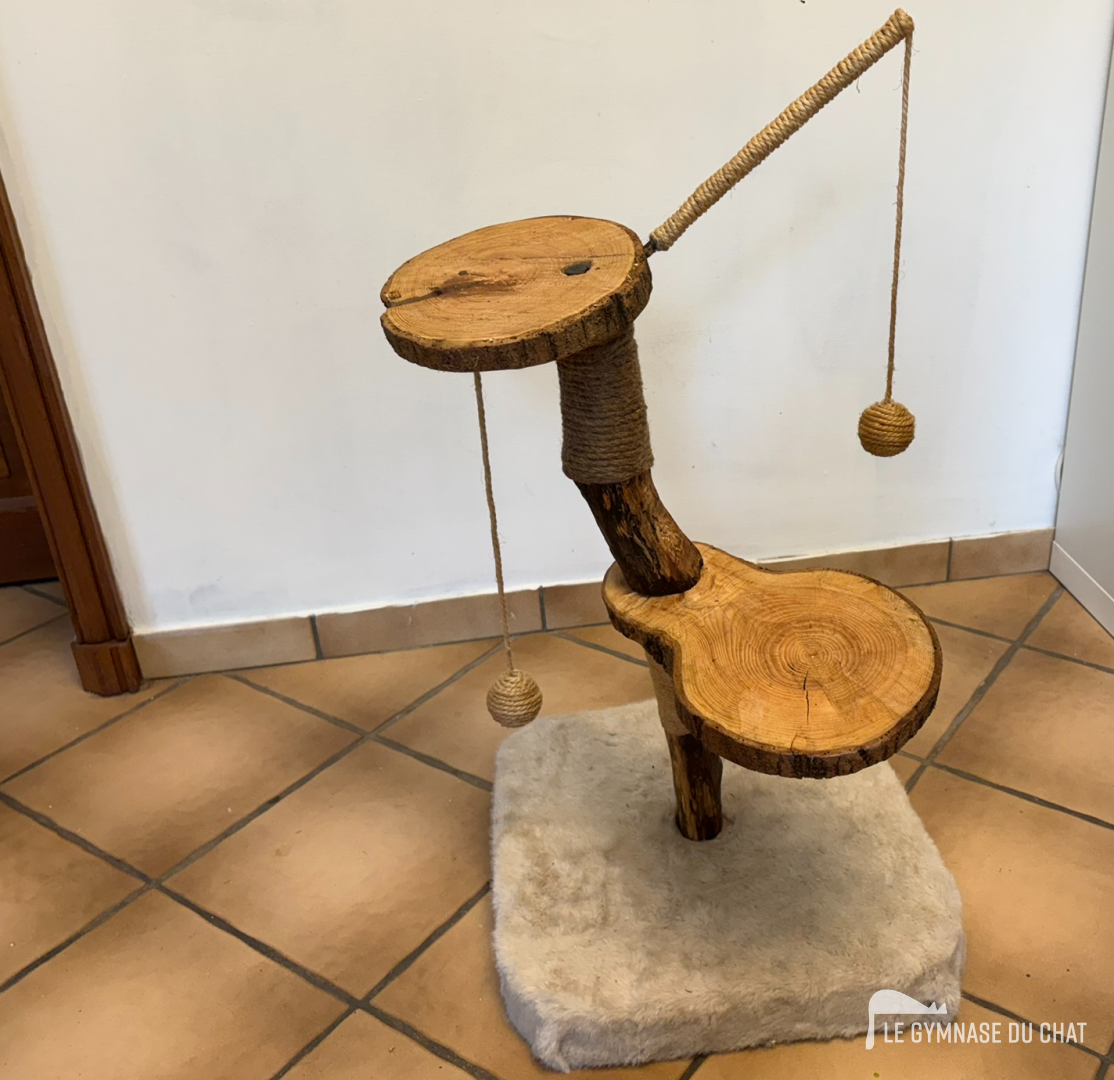 Chat balance à Paris — photo détail