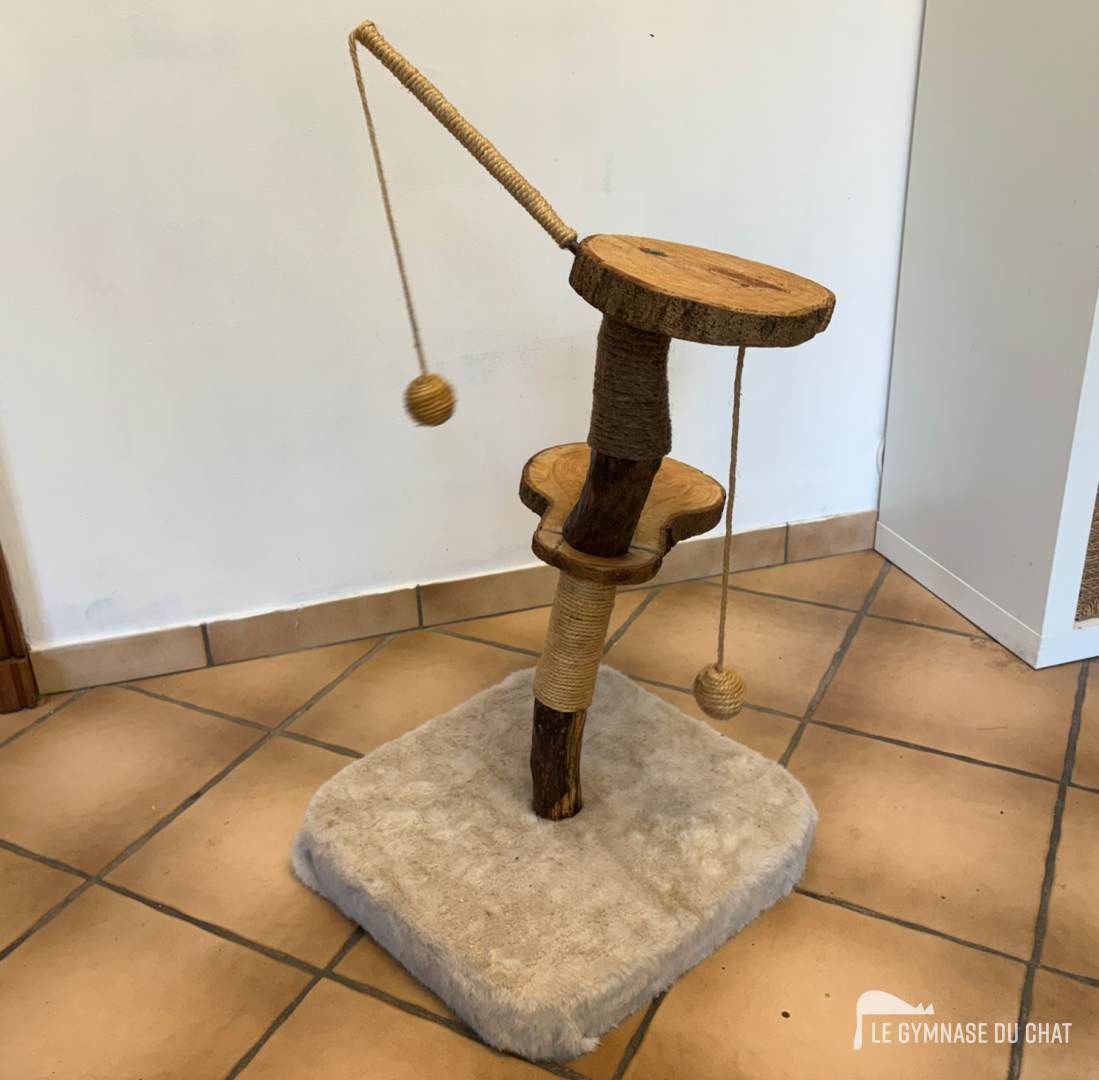 Chat balance à Paris — photo détail