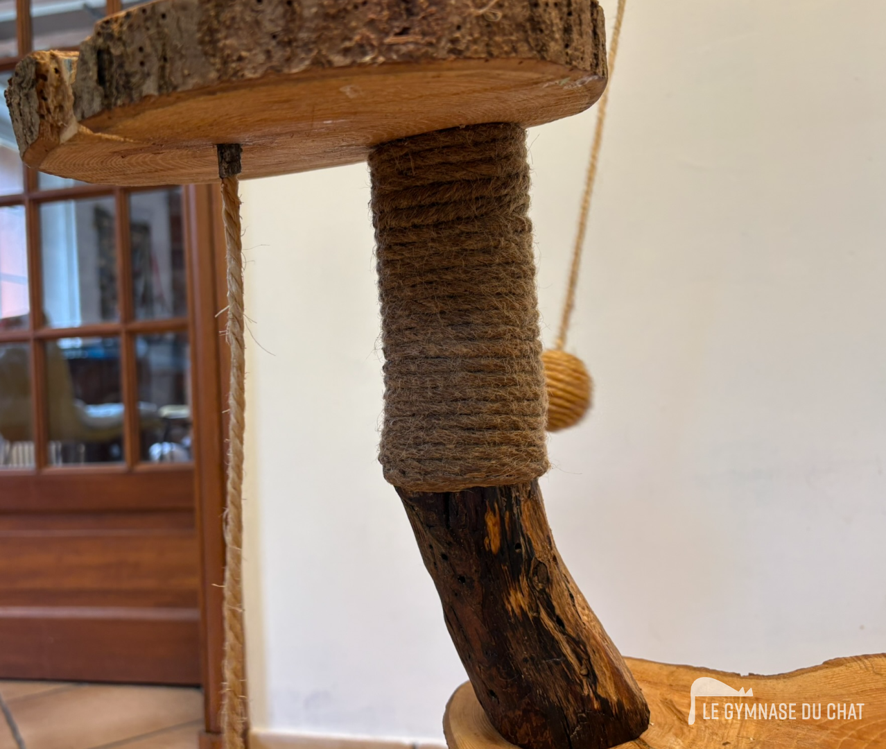 Chat balance à Paris — photo détail