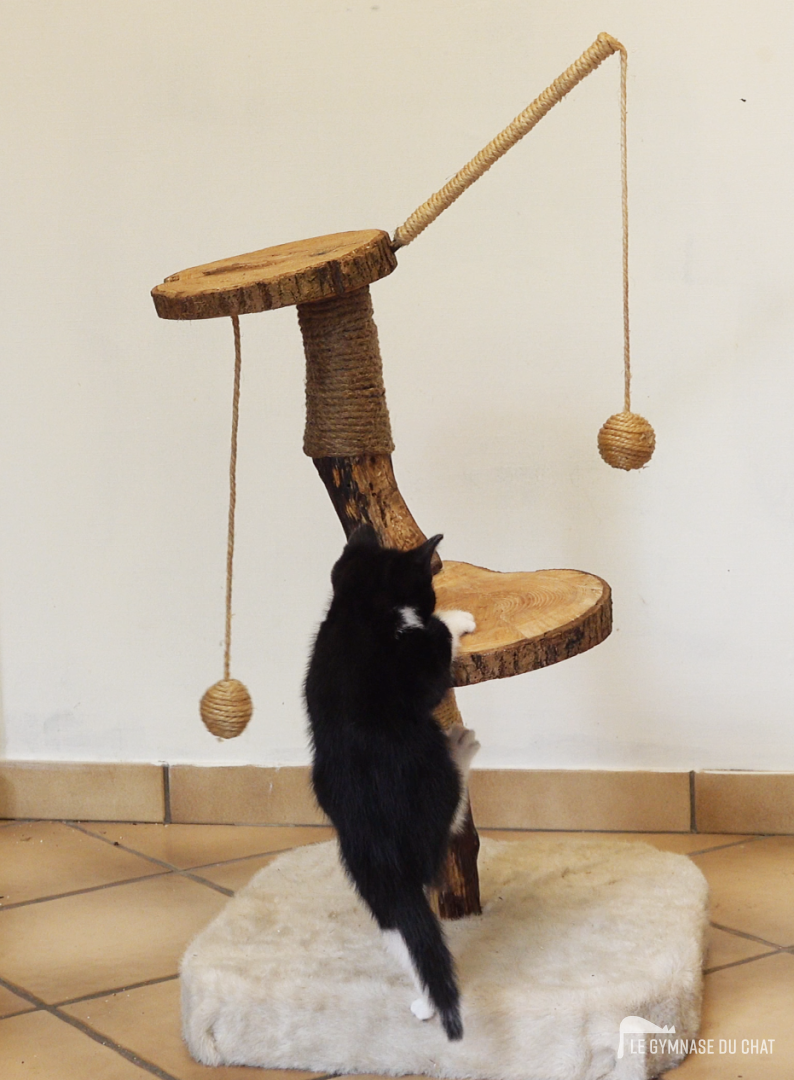 Chat balance à Paris — arbre à chat artisanal Le Gymnase du Chat