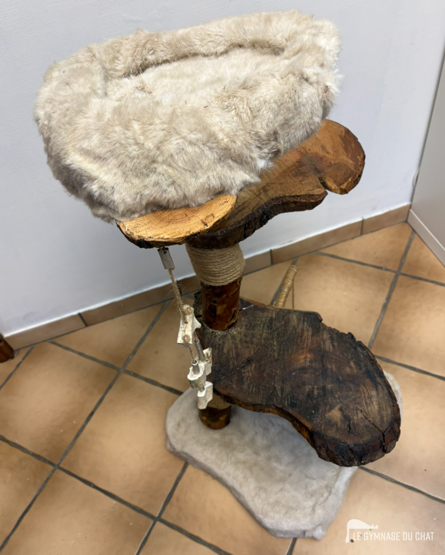 L'arbre à chat vu depuis l'angle gauche