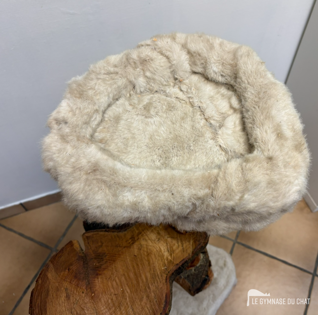 L'arbre à chat vu de profil, hauteur complète
