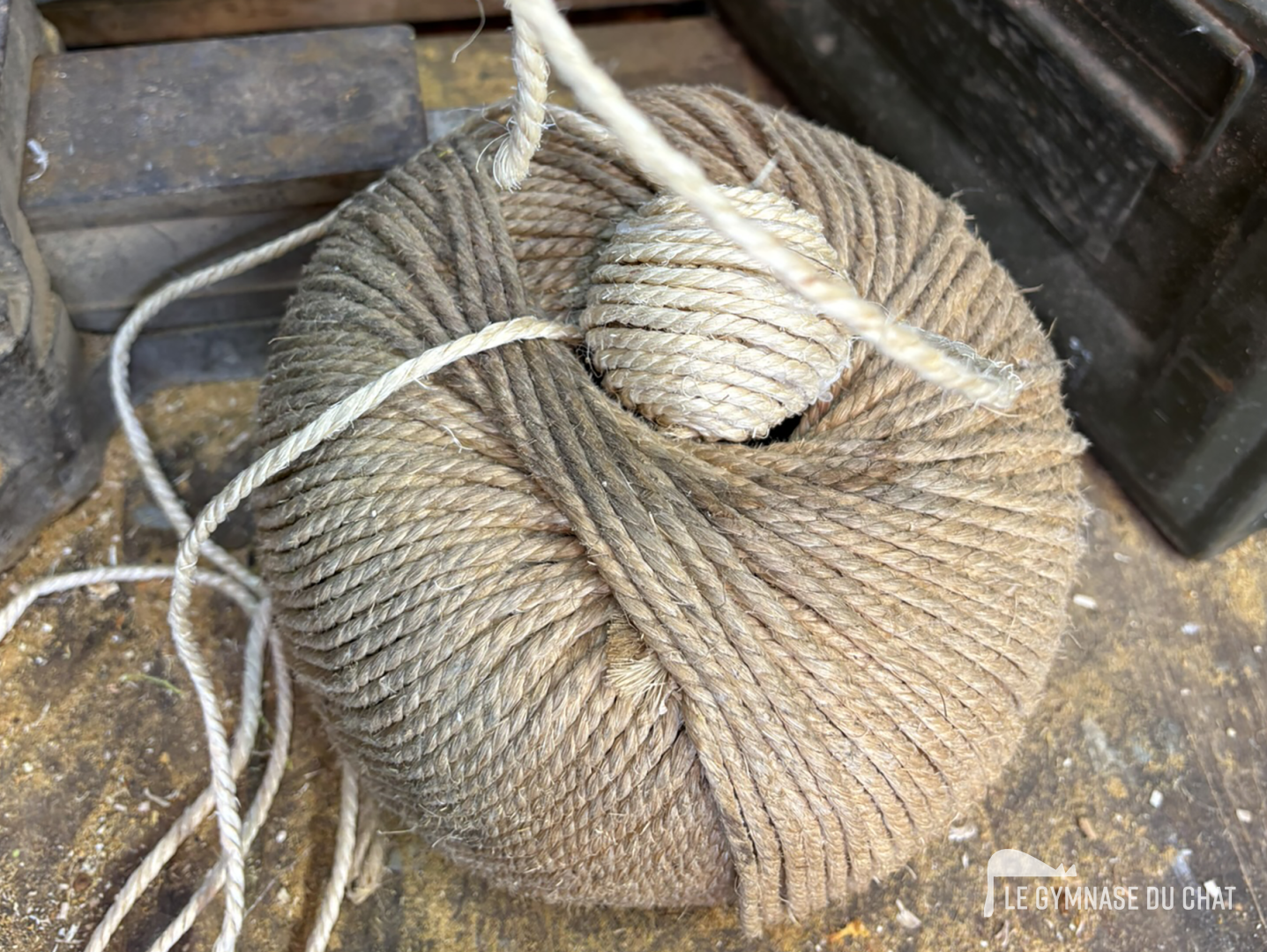 Le sisal