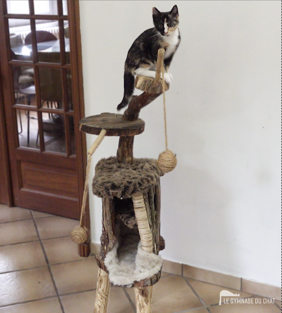 Ma cabanne au Chanada — arbre à chat artisanal Le Gymnase du Chat