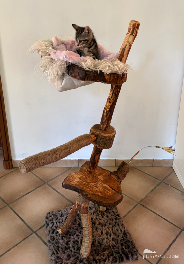 Hauteur : 120 cm