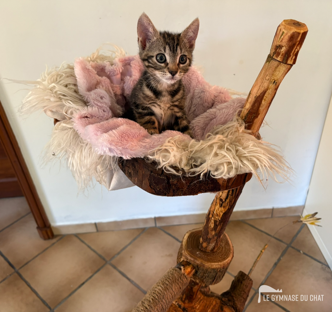 La Poupoune (Noé) n'est pas montée, on l'a installée juste pour le plaisir de la photo
