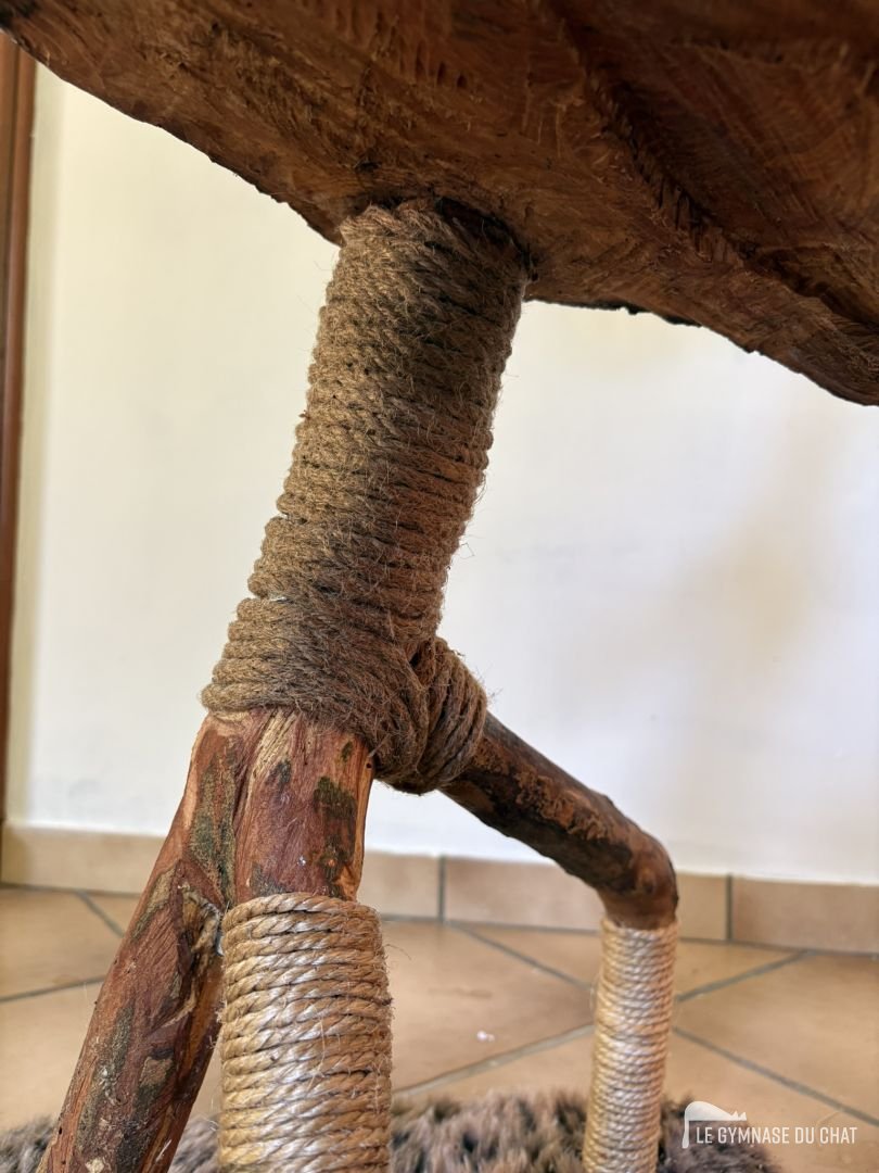 Vu du sisal pour les griffes, ça reste un indispensable, quel que soit le chat