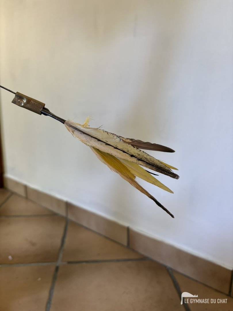 Le jouet en plumes est en plumes de Kakariki