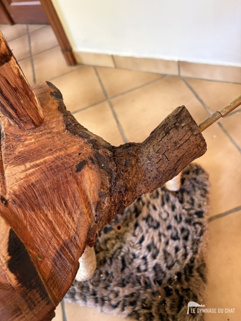 Détail du plateau en chêne
