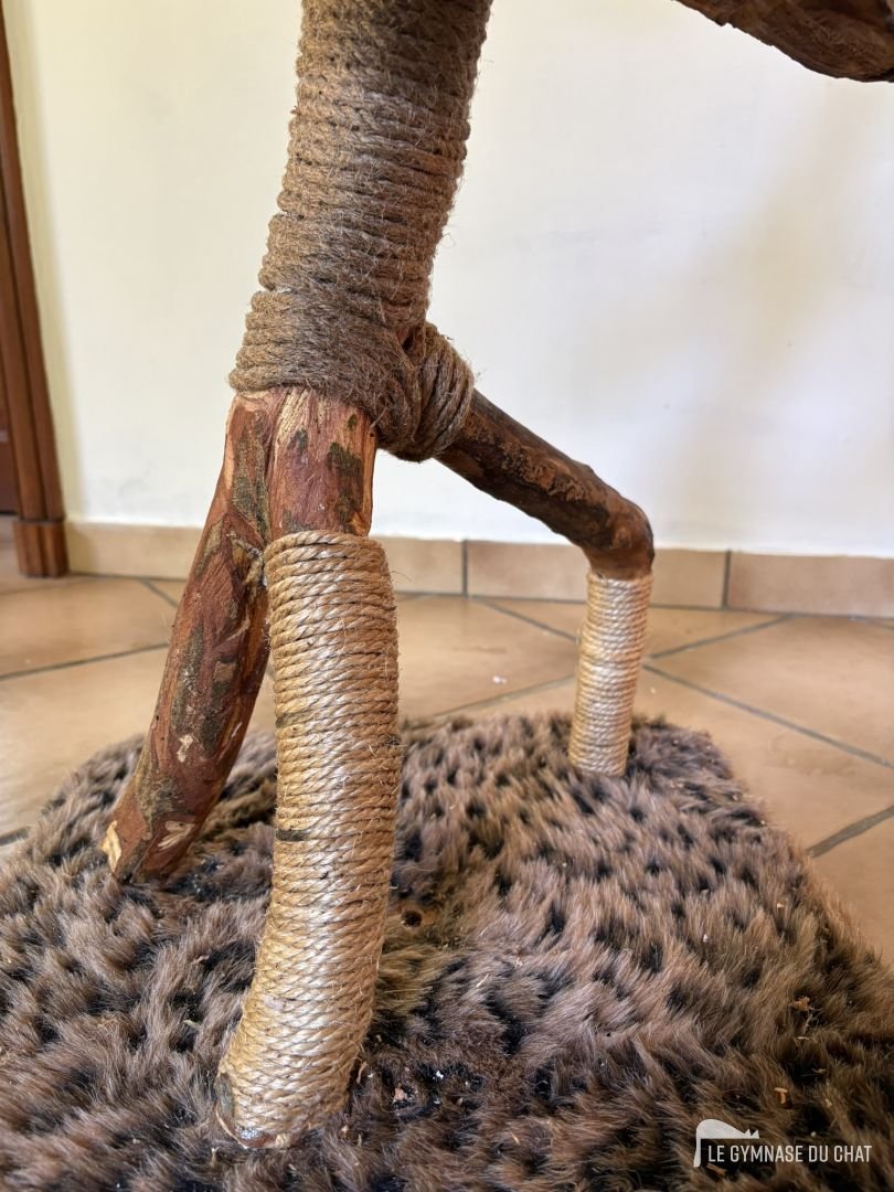 Détail de la base