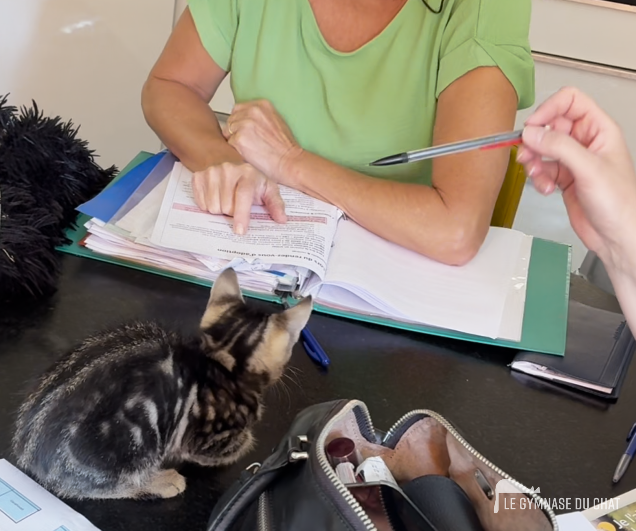 Noé jour 74, en route pour la vie !