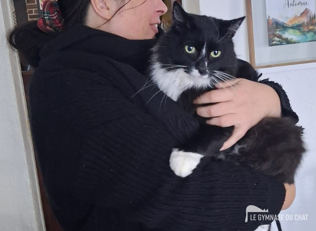 Arc en Chat 28 : une association qui change la vie des chats en détresse