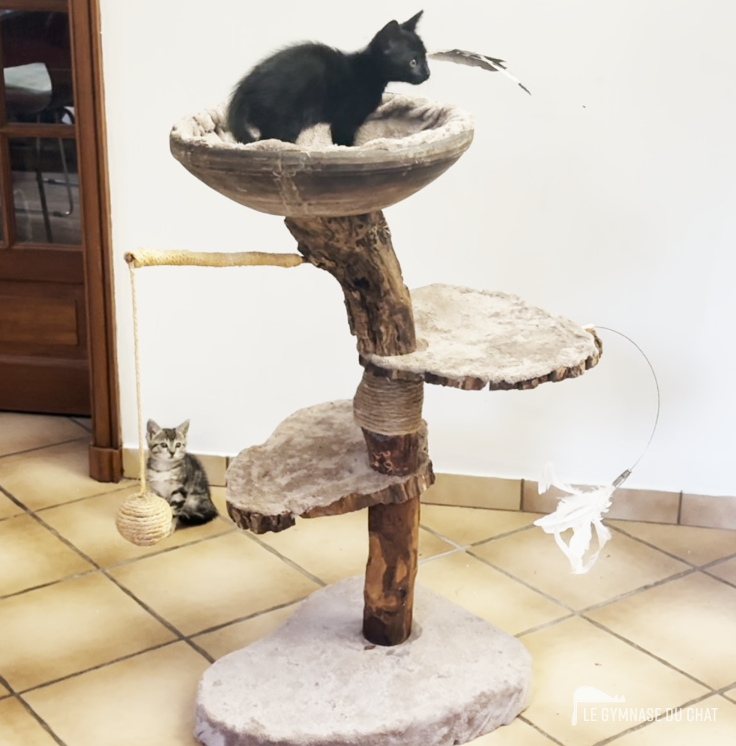 Le panier supendu — arbre à chat artisanal Le Gymnase du Chat