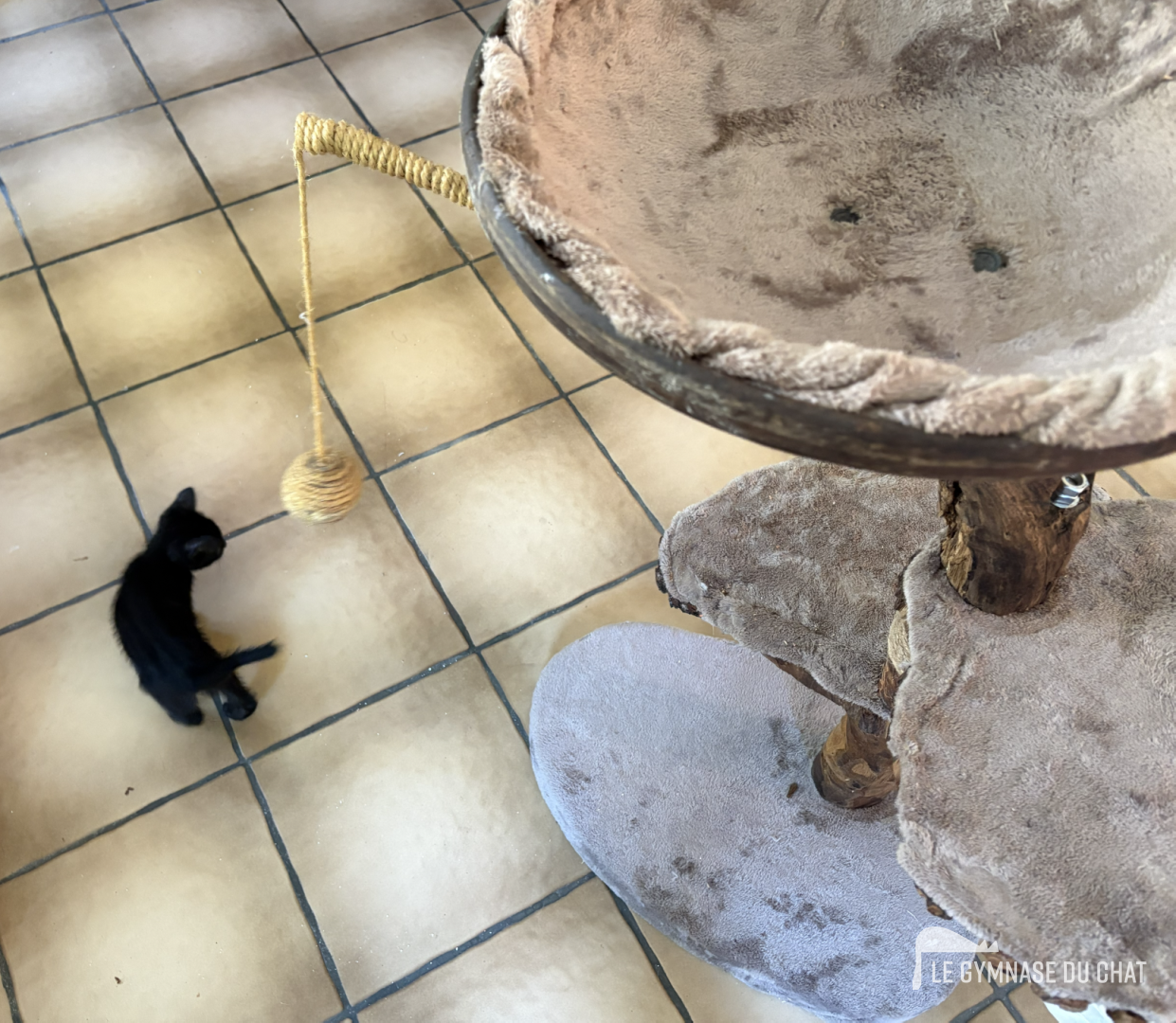La classique boule de sisal, l'incontournable