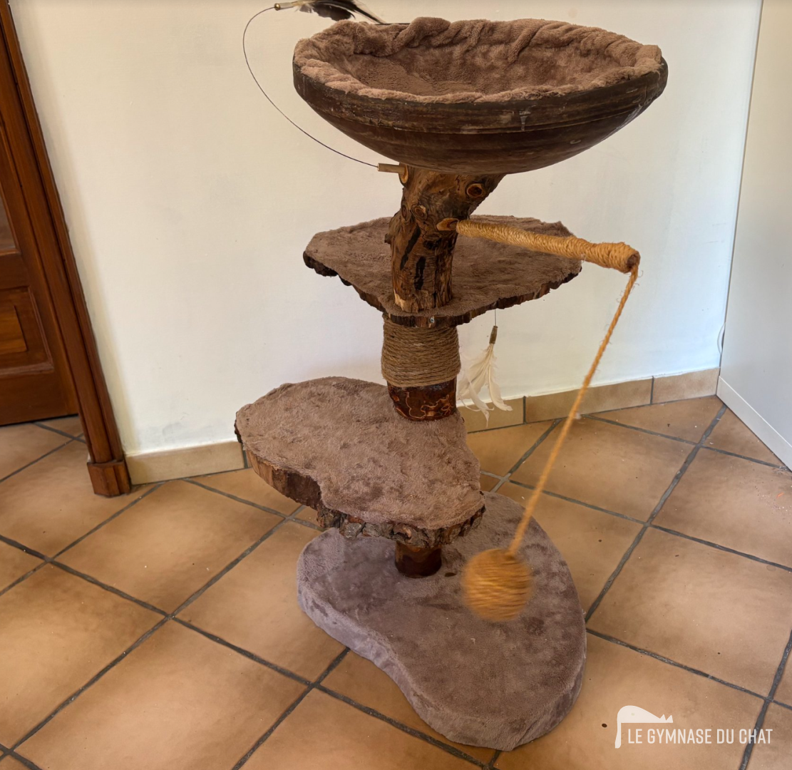 Stabilité : le critère n°1 pour que votre chat adopte son arbre — Pourquoi offrir un arbre à chat à son matou ? Mettre toutes les chances de son côté pour qu'il l'adopte !