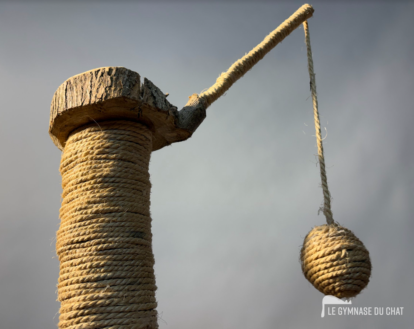 Matériaux naturels : odeurs, sécurité, durabilité — Pourquoi offrir un arbre à chat à son matou ? Mettre toutes les chances de son côté pour qu'il l'adopte !