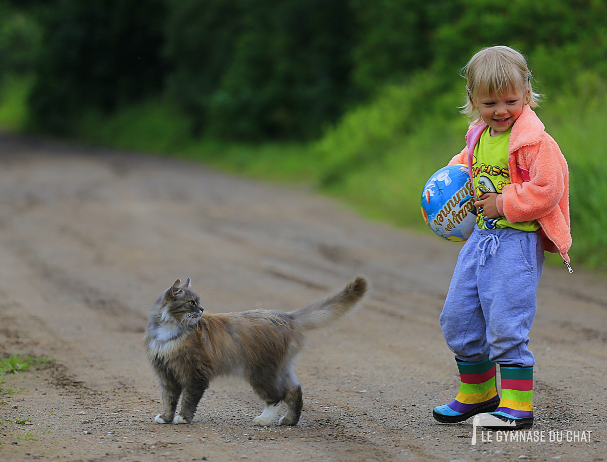 Les prénoms les plus donnés en France — Comment choisir le prénom de son chat : guide complet pour bien nommer son compagnon