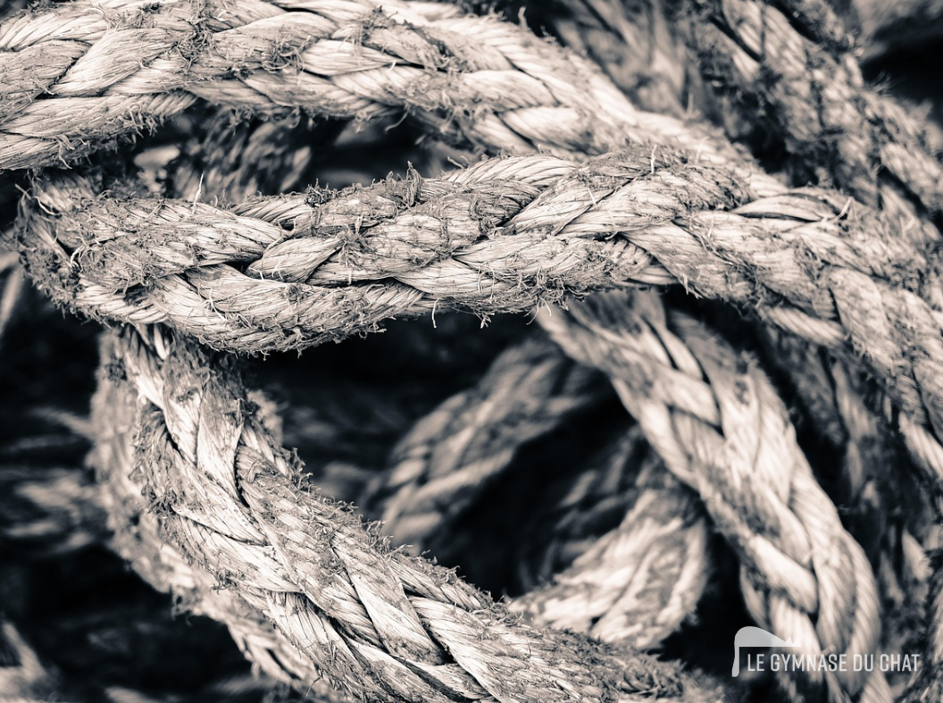 Les risques du sisal synthétique — Sisal naturel pour arbre à chat : pourquoi c'est important