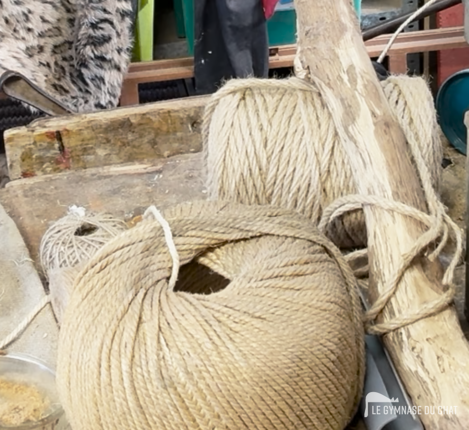 Comment reconnaître du vrai sisal — Sisal naturel pour arbre à chat : pourquoi c'est important